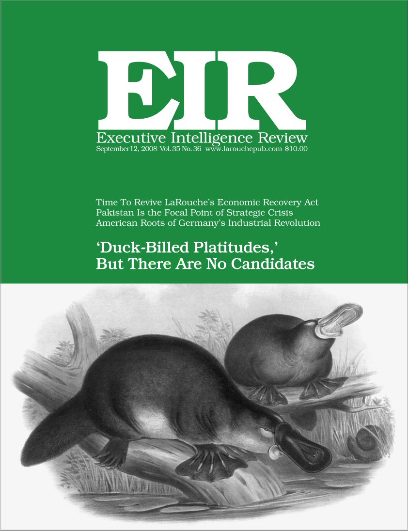 Current EIR Cover...Click to view the entire issue as a PDF file. (Subscription required)