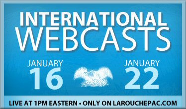 INTERNATIONAL WEBCASTS, JANUARY 16 AND 22, 2009