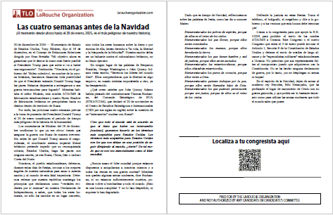 Volante, 2 páginas (PDF)