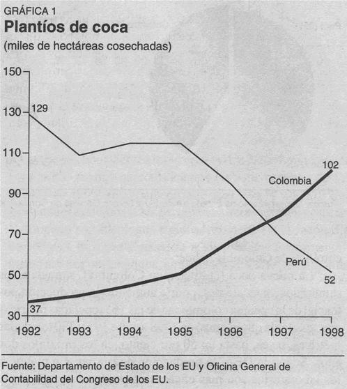 plantíos de coca